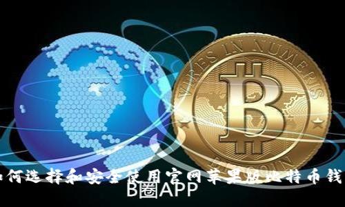 如何选择和安全使用官网苹果版比特币钱包