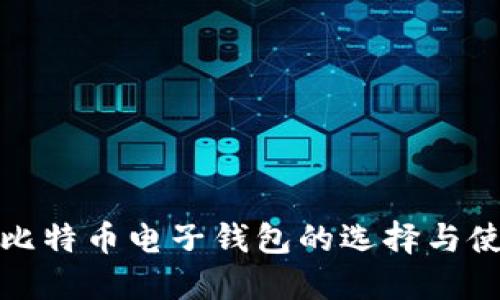 : 国内比特币电子钱包的选择与使用指南