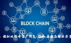 : 揭秘比特币僵尸钱包：影响、原因及解决方案