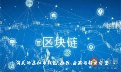  消失的虚拟币钱包：原因、后果与解决方案