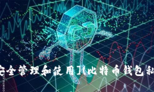 [比特币钱包私钥详解：如何安全管理和使用](比特币钱包私钥详解：如何安全管理和使用