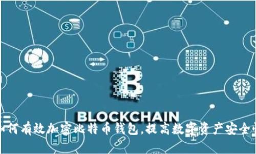 如何有效加密比特币钱包，提高数字资产安全性