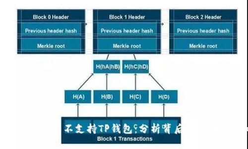 : 为什么中国不支持TP钱包：分析背后的原因与影响