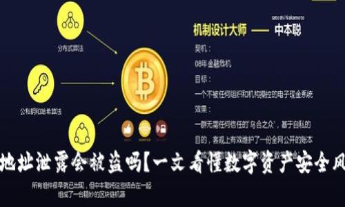 TP钱包地址泄露会被盗吗？一文看懂数字资产安全风险解析