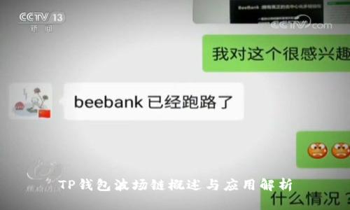 TP钱包波场链概述与应用解析