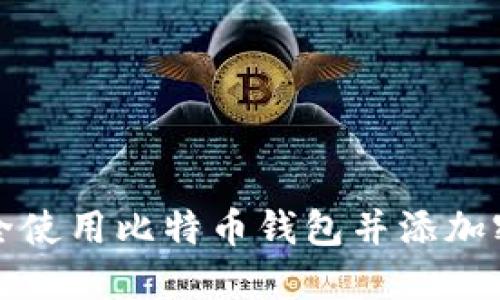 如何安全使用比特币钱包并添加密码保护
