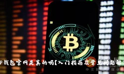 TP钱包官网是真的吗？入门指南及常见问题解答