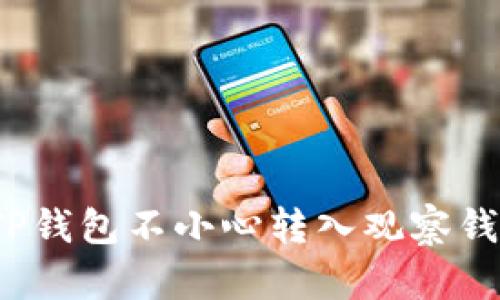如何处理TP钱包不小心转入观察钱包的情况？