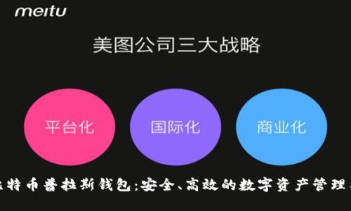 : 比特币普拉斯钱包：安全、高效的数字资产管理工具