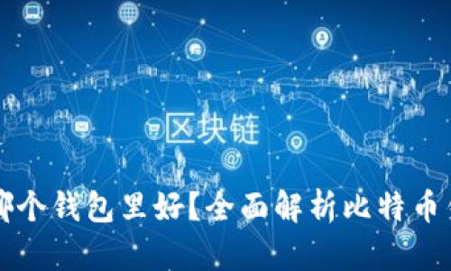 比特币放在哪个钱包里好？全面解析比特币钱包选择指南