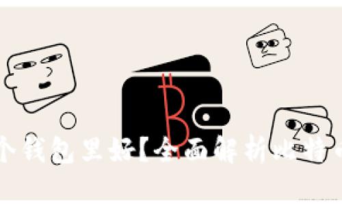 比特币放在哪个钱包里好？全面解析比特币钱包选择指南