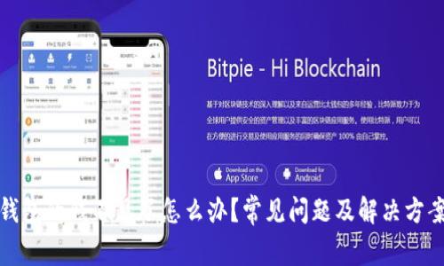 : TP钱包的钱不见了怎么办？常见问题及解决方案解析