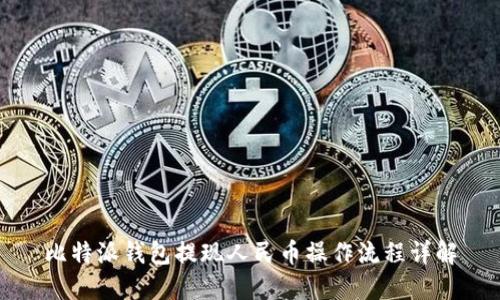 比特派钱包提现人民币操作流程详解