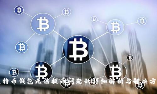比特币钱包无法提币问题的详细解析与解决方案