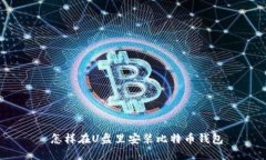 怎样在U盘里安装比特币钱包