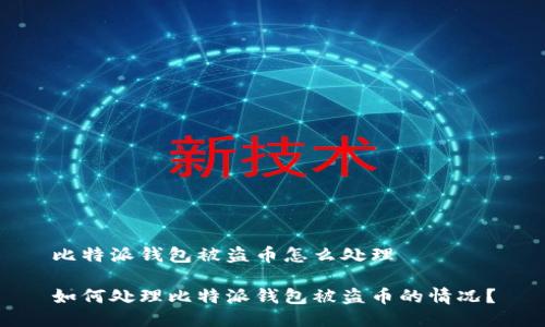 比特派钱包被盗币怎么处理

如何处理比特派钱包被盗币的情况？
