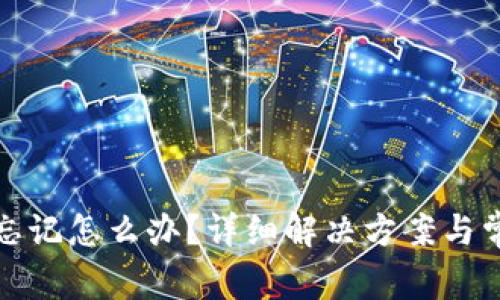 TP钱包密码忘记怎么办？详细解决方案与常见问题解答