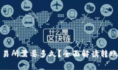 从TP钱包转到交易所需要多久？全面解读转账时间