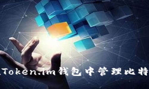 如何在Token.im钱包中管理比特币私钥