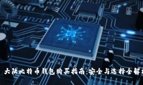 : 大陆比特币钱包购买指南：安全与选择全解析