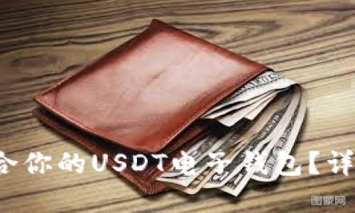  如何选择适合你的USDT电子钱包？详细指南与推荐