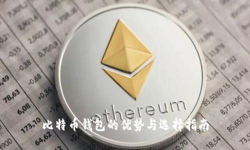 比特币钱包的优势与选择指南