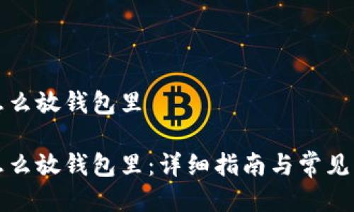 比特币怎么放钱包里

比特币怎么放钱包里：详细指南与常见问题解答