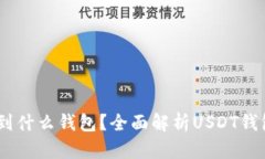 USDT能转到什么钱包？全面解析USDT钱包选择指南