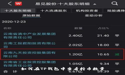 如何在TP钱包中查看持币数量