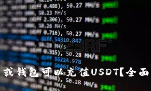 : 哪个平台或钱包可以充值USDT？全面指南与推荐