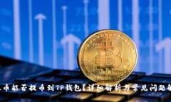 FIL币能否提币到TP钱包？详细解析与常见问题解答