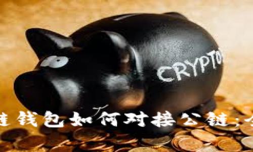 : 区块链钱包如何对接公链：全面解析