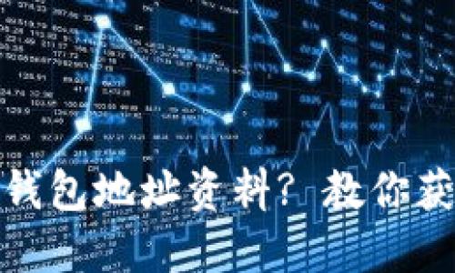 : 如何查询虚拟币钱包地址资料? 教你获取安全信息的技巧