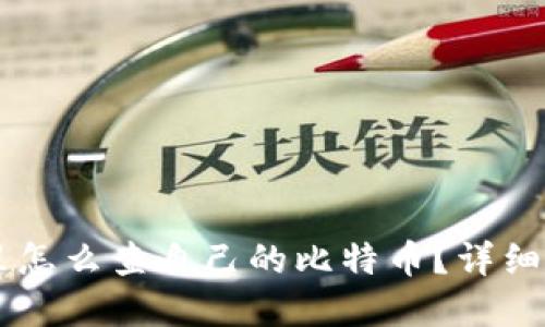 在QQ钱包里怎么查自己的比特币？详细步骤与技巧