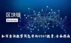 如何查询数字钱包中的USDT数量：全面指南