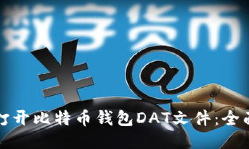 如何打开比特币钱包DAT文件：全面指南