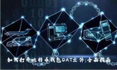 如何打开比特币钱包DAT文件：全面指南