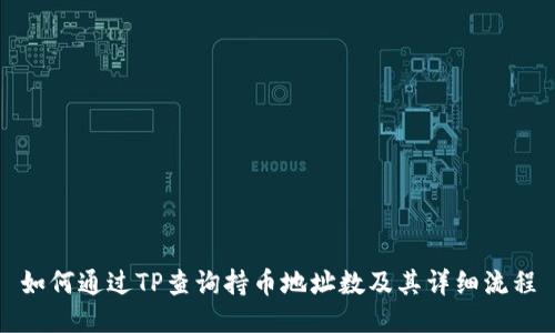 如何通过TP查询持币地址数及其详细流程