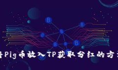 如何将Pig币放入TP获取分红的方法详解