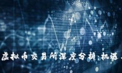 : FTX虚拟币交易所深度分析：机遇与挑战